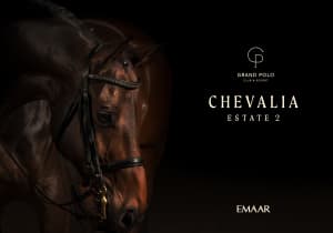 Chevalia Estate 2 at Grand Polo Club & Resort — real estate project in Dubai, UAE