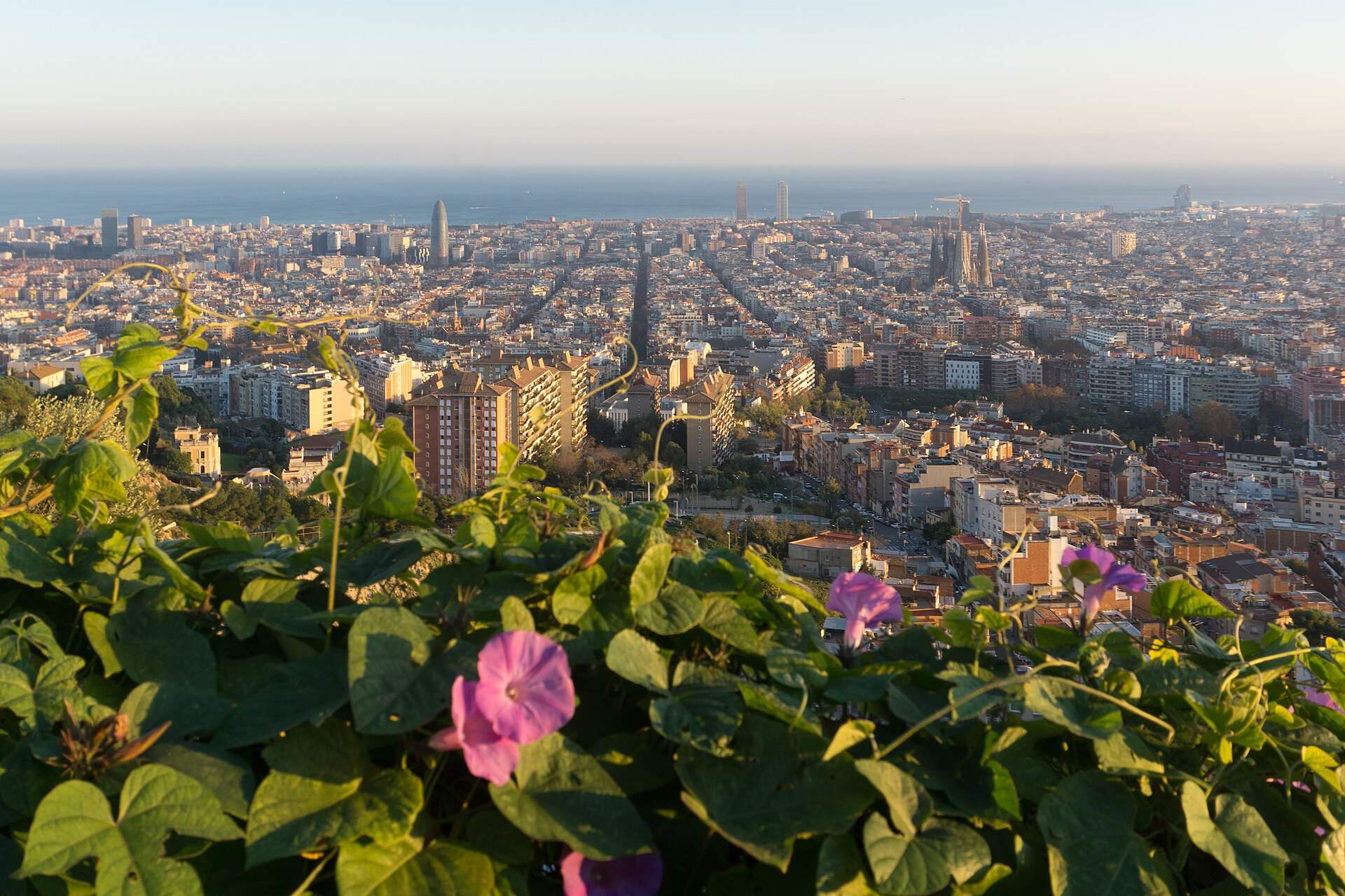 Barcelona city grid toward the sea from Bunkers del Carmel