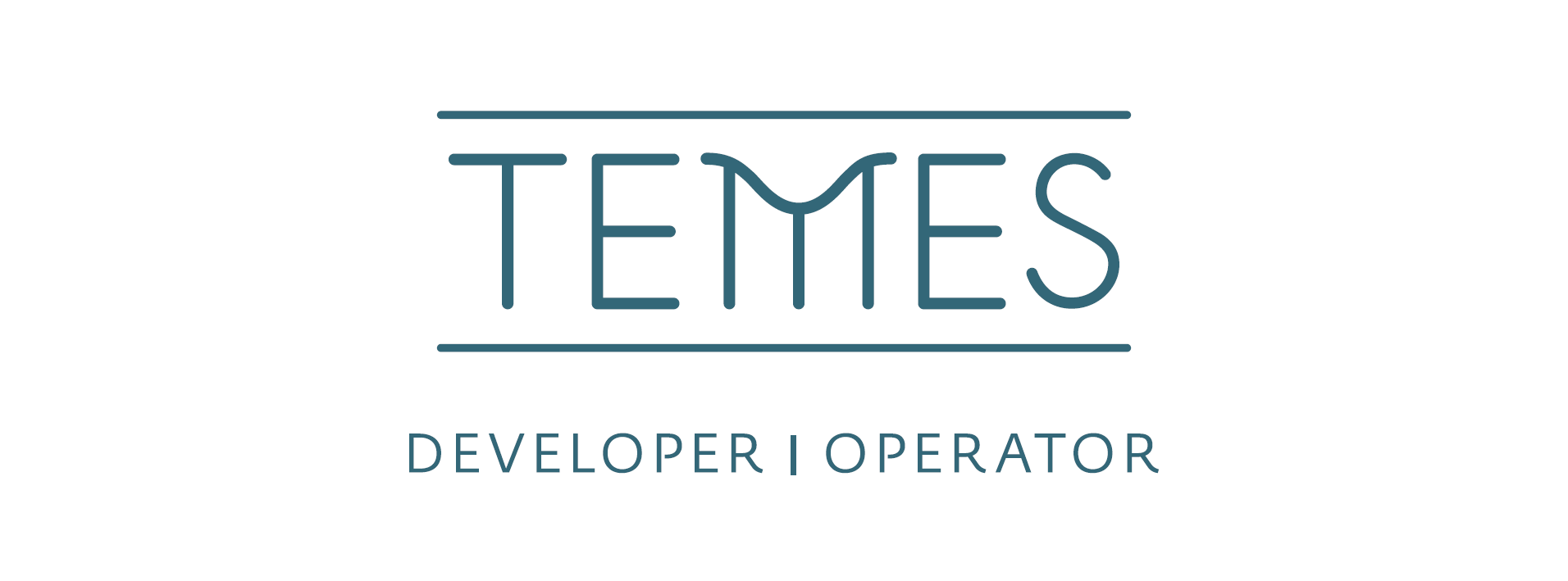 TEMES logo